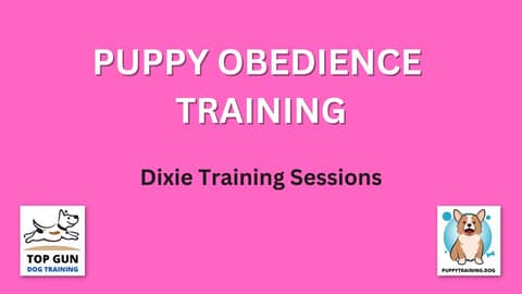 Part 17 - Dixie Sample Training