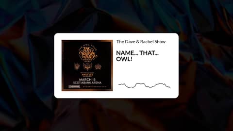 NAME... THAT... OWL!