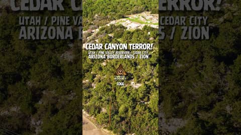 Glowing eyes at the tree line