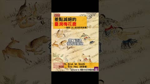 FORMOSA FILES 中文版 CH32-差點滅絕的臺灣梅花鹿—復育（太）成功的特有種 #formosafiles #podcast #臺灣 #歷史故事 #臺灣梅花鹿 #shorts