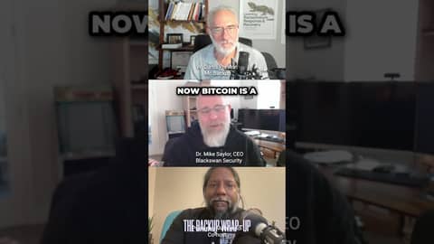 Ransomware: Bitcoin, Logistics, and Hidden Strategies #shorts Ransomware: Bitcoin, Logistics, and Hidden Strategies #shorts