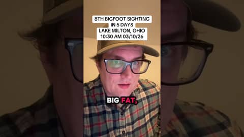 8TH BIGFOOT SIGHTING IN 5 DAYS / LAKE MILTON, OHIO 10:30 AM 03/10/26 #fyp #ohiocheck #Bigfoot
