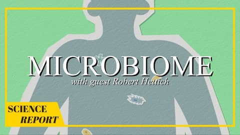 The Power of Your Microbiome | AMSE Science Report