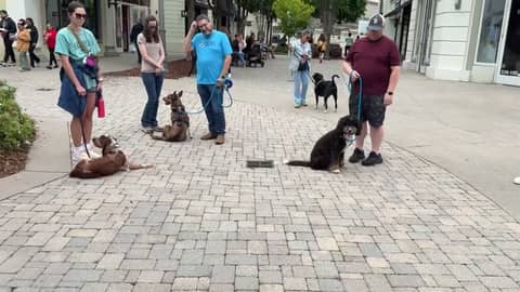 Group Training and Pack Walk for Graduates.