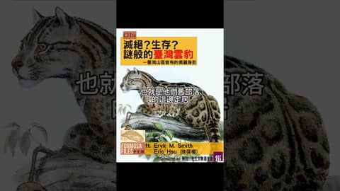 FORMOSA FILES 中文版 CH34-滅絕？生存？謎般的臺灣雲豹—臺灣山區曾有的美麗身影 #formosafiles #podcast #臺灣 #歷史故事 #雲豹 #shorts