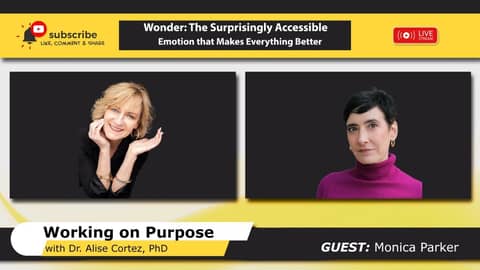 Wonder: The Surprisingly Accessible Emotion that Makes Everything Better (Working on Purpose) Wonder: The Surprisingly Accessible Emotion that Makes Everything Better (Working on Purpose)