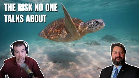 How Deep Sea Mining Could Break the Ocean’s Most Important Wildlife Highways