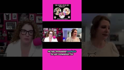 Creating Healthy Pet Food with Holly Baer of Superior Feline #podcast #cat #cats #podcastclips