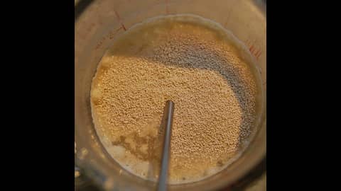 Episode 167-Yeast Bubby Etiquette