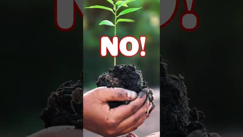 HAPPY EARTH DA- JOYS OF OIL DAY, VAL VERDE! #earthday  #earthday2024  #podcast #comedy