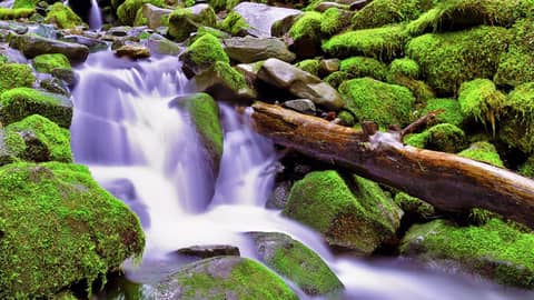 Water Sounds White Noise for Studying, Focus, Relaxation or Sleep (No Music)