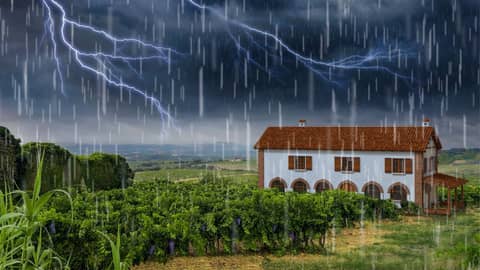 Relax to Rain Sounds for Sleep (with Thunder) on Charming Vineyard Relax to Rain Sounds for Sleep (with Thunder) on Charming Vineyard
