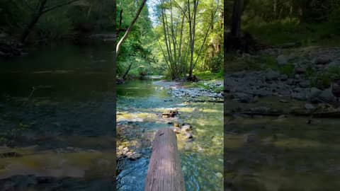 Rushing Creek in Big Sur | Relax with Water Sounds