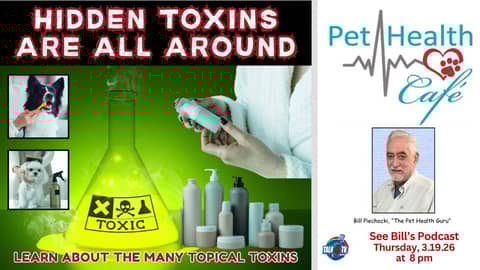 Hidden Toxins Are All Around Us