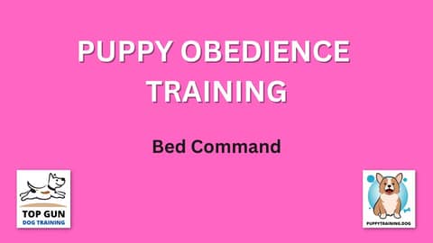 Part 20 - The Bed Command