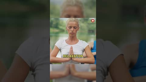 Meditation and Focus Meditation and Focus