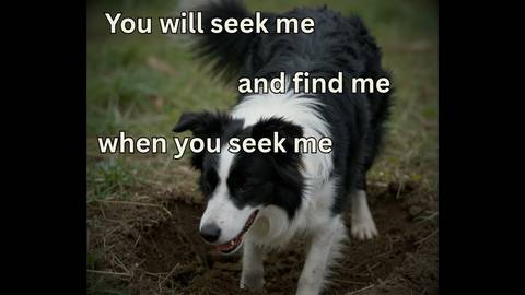 Verse for the Day: God isn't in the business of hiding ... from somebody genuinely seeking.