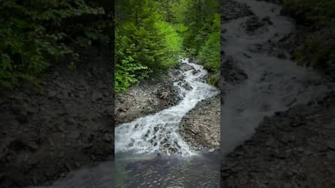 Rushing Water Sounds in Juneau | Relax to Calm Creek Ambience Rushing Water Sounds in Juneau | Relax to Calm Creek Ambience
