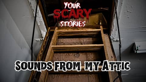 Sounds from my Attic true scary story
