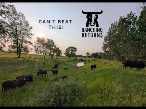 Calving and Moving the Herd