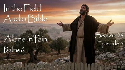 Alone in Pain: Discovering God’s Mercy at Midnight