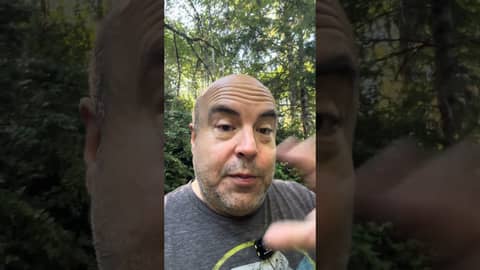 How We Helped Save a Raven