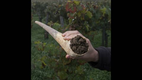 Episode 176-Manure Not Vegan, Chianti Rooster, Wine Serving Temps