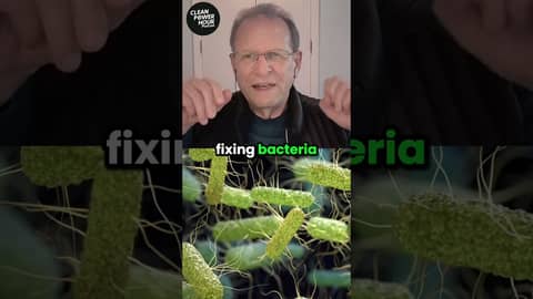 Ocean Fertilization Actually Works (No Damage) #clean #energy