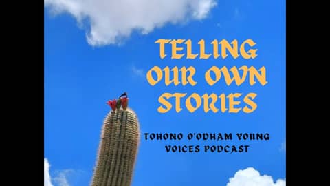 Defining Indigenous Self Determination