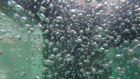 The Rescue Company 1 is International!