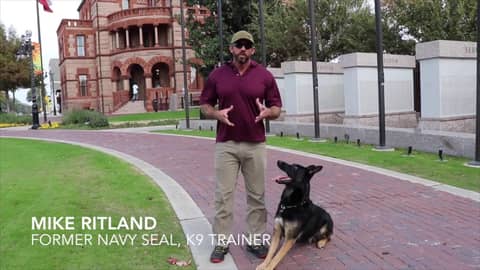 Mike Ritland's Team Dog Online Training