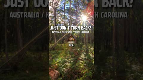 From Australia to Appalachia… the encounters just kept getting wilder