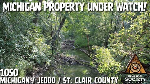 When the Forest Answers Back in Rural Michigan | Bigfoot Society 1050 When the Forest Answers Back in Rural Michigan | Bigfoot Society 1050