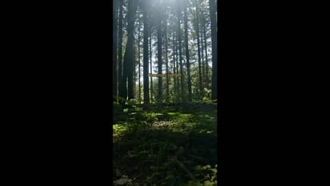 THRIVEHOOD Podcast - New Episode