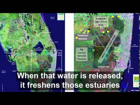 waterloop drops: Nutrient Pollution Harms Everglades and Florida's Coasts