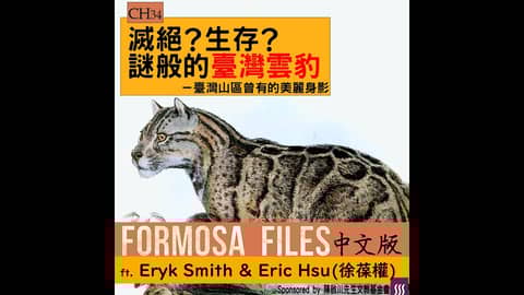 FORMOSA FILES 中文版 CH34-滅絕？生存？謎般的臺灣雲豹—臺灣山區曾有的美麗身影