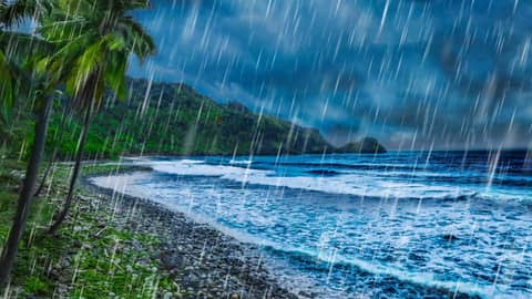 Rainy Day & Ocean Waves for Deep Sleep | 10 Hour Ocean & Rain Sounds Rainy Day & Ocean Waves for Deep Sleep | 10 Hour Ocean & Rain Sounds