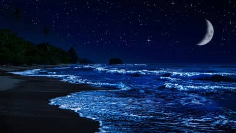 Ocean Sounds for Deep Sleep & Relaxation