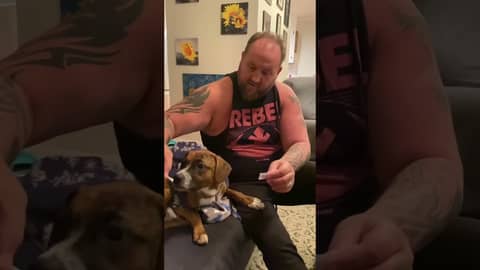 Ziggy Starpup picks the Packers/Lions #nfl  Week 18 matchup!