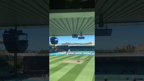 Ground staff at the SCG on a roll.