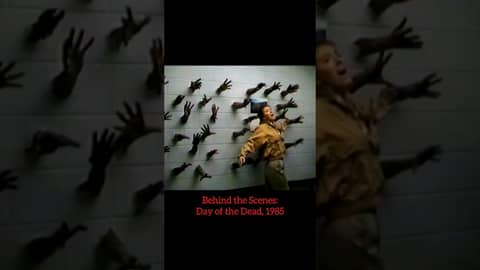 #zombieshorts George Romero is the master. #Horror #movie