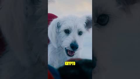 Unsurprisingly, we fell in LOVE with #Krypto in #Superman! We need more! #podcast