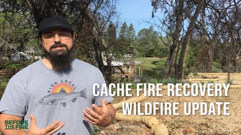 Cache Fire Recovery Update 2