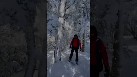 Morocco has Desert Dunes as well as snowy Mountains!