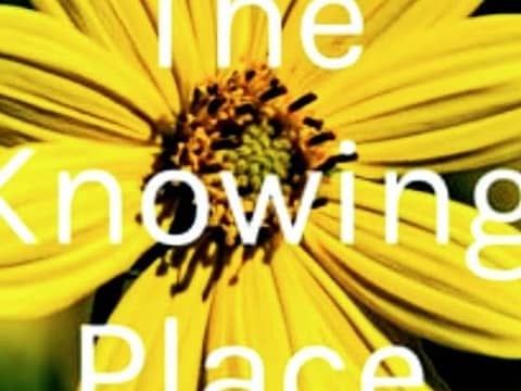 The Knowing Place Live Stream