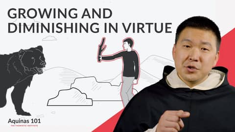 Growing and Diminishing in Virtue (Aquinas 101)