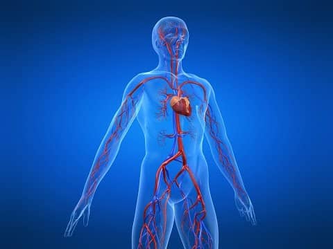 S2: Client 36 - Bodily Functions & Bodily Dysfunctions w/Greg, Brendan & Matt  (WARNING: GROSSNESS)