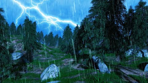 Forest Rain Sounds for Sleep ⛈️ Thunderstorm White Noise 10 Hours 4k