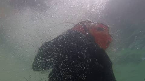 The Rescue Company 1 doing PFD drills in Haiti!