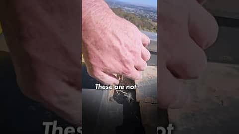 Wow! Can you believe this!